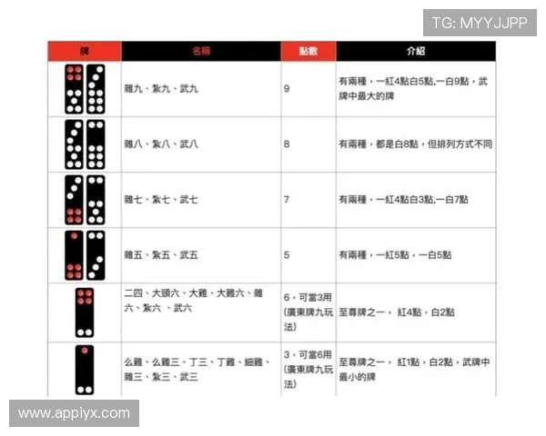 打牌九的最佳策略详解帮助玩家提升胜率的实用技巧指南